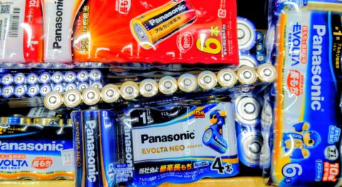 夏さきどりフェア開催中